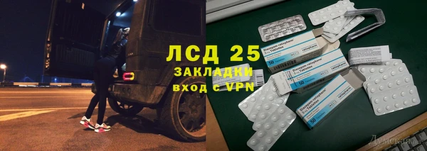 прущие грибы Козловка