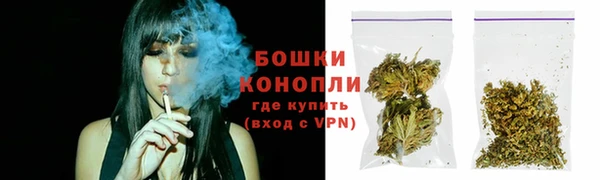 прущие грибы Козловка