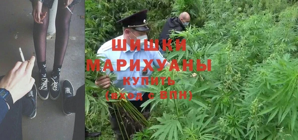 прущие грибы Козловка