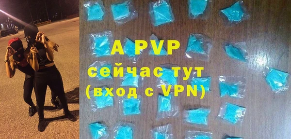 прущие грибы Козловка