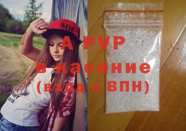прущие грибы Козловка