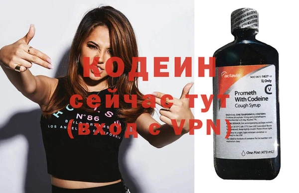 прущие грибы Козловка