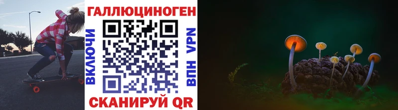 Купить закладки  Мамоново  Псилоцибиновые грибы мицелий 