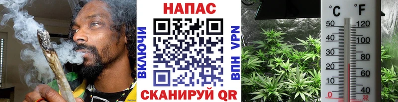 Канабис OG Kush Мамоново